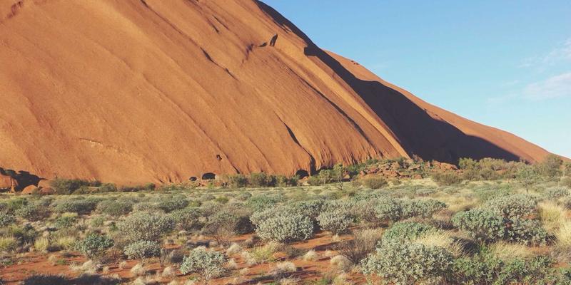 太原企业福利新选择：0351花店团购鲜花，打造暖心员工关怀方案