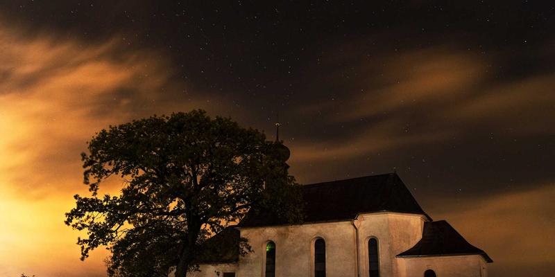 太原周末送花指南：生日鲜花与婚礼花艺的家庭装饰搭配技巧
