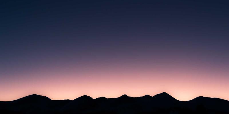 太原商务会议桌花定制指南：专业花艺师解析会场鲜花布置要点与预算规划