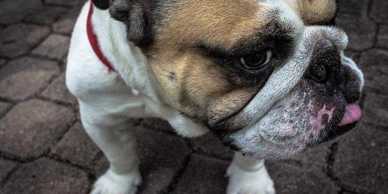 太原开业庆典花篮速递服务：网上订花与0351花店的专业指南