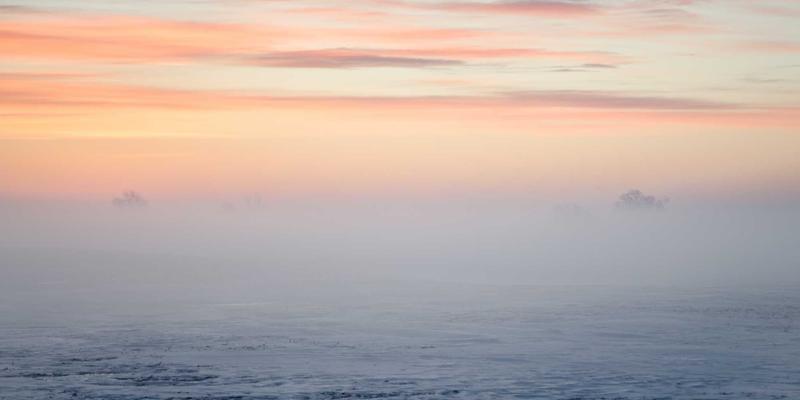 太原开业花篮定制指南：0351花店解析商务花礼选择与婚礼花艺延伸