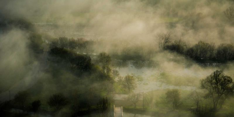 太原情人节后备箱鲜花惊喜策划：如何用同城速递打造网红级告白
