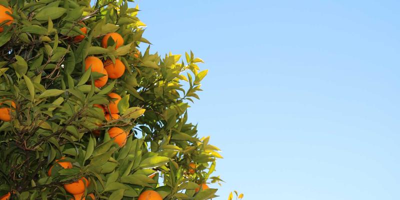 太原生日鲜花速递指南：0351花店网上订花，母亲节/教师节热门款式推荐