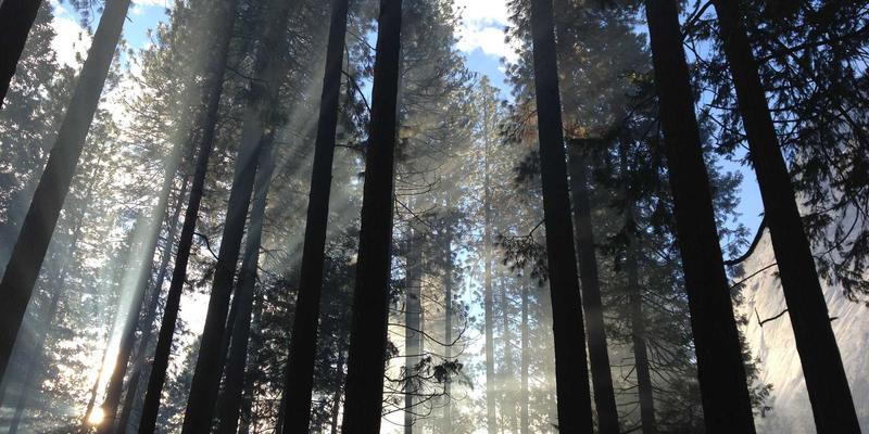 太原纪念日鲜花速递定制指南：用个性化花艺设计重温浪漫时刻