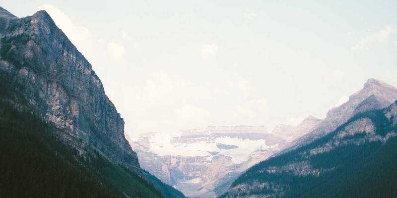 太原高端商务会议鲜花布置：专业花艺团队如何打造卓越会议氛围与品牌形象