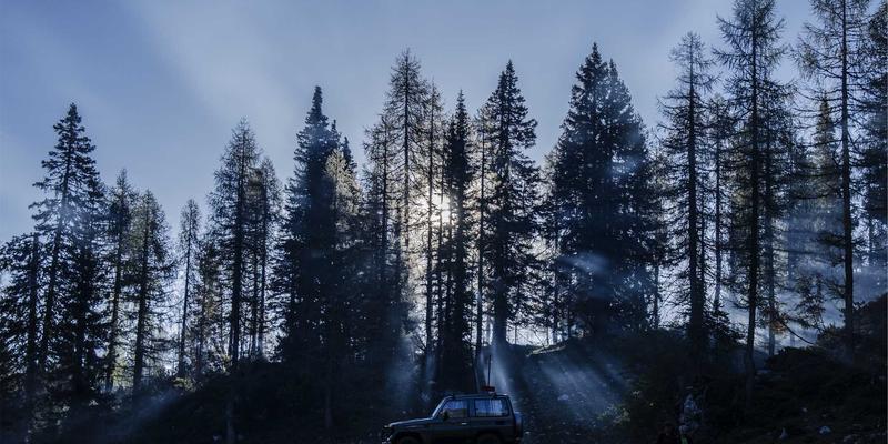 太原高端花店生日鲜花速递服务推荐：0351花店如何让祝福准时绽放