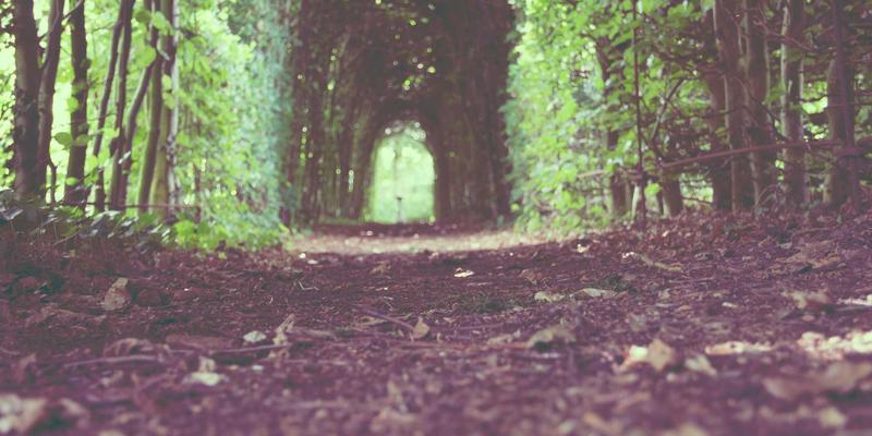 太原高端花店私人定制花艺服务指南：从网上订花到婚礼花艺的完美设计