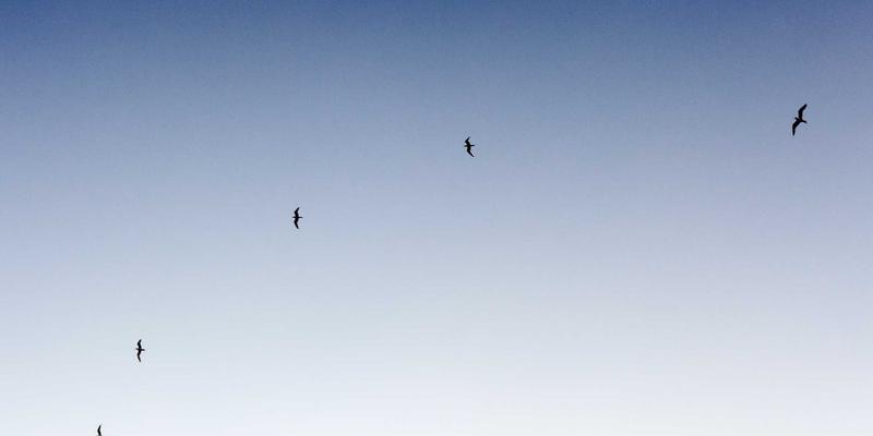 太原鲜花保鲜秘籍：专业花店教你如何让婚礼花艺持久绽放