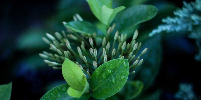 太原鲜花速递19：婚礼花艺与网上订花指南，让幸福准时抵达