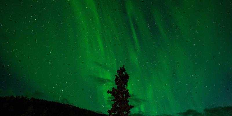 太原鲜花速递24小时服务指南：如何轻松实现网上订花与心意传递