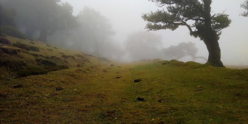太原鲜花速递38：用专业花艺设计，为生日传递独特祝福