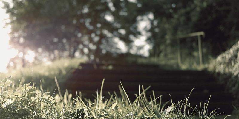 太原鲜花速递44 | 0351花店专业服务：生日鲜花与婚礼花艺全攻略