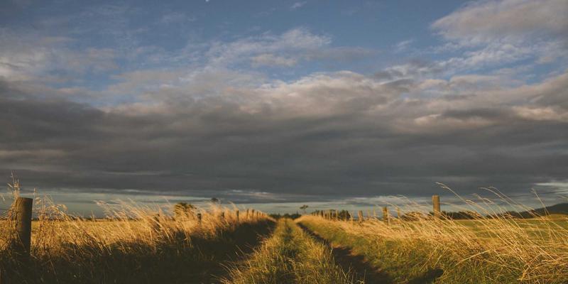 太原鲜花速递58：专业花艺设计与婚礼花艺的完美融合