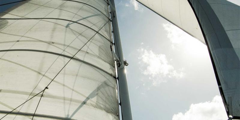 太原鲜花速递73:网上订花、专业配送与婚礼花艺的一站式解决方案