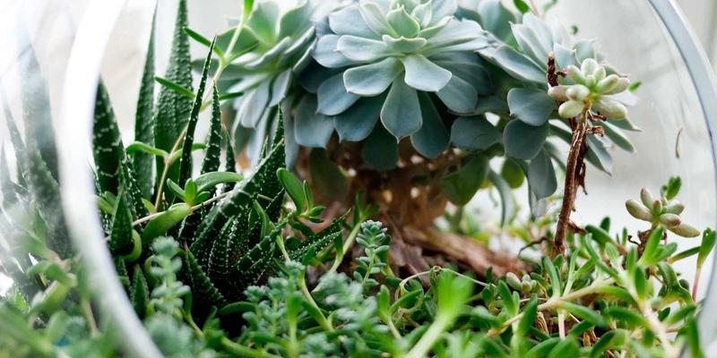 太原鲜花速递81：0351花店的专业鲜花配送与花艺设计服务