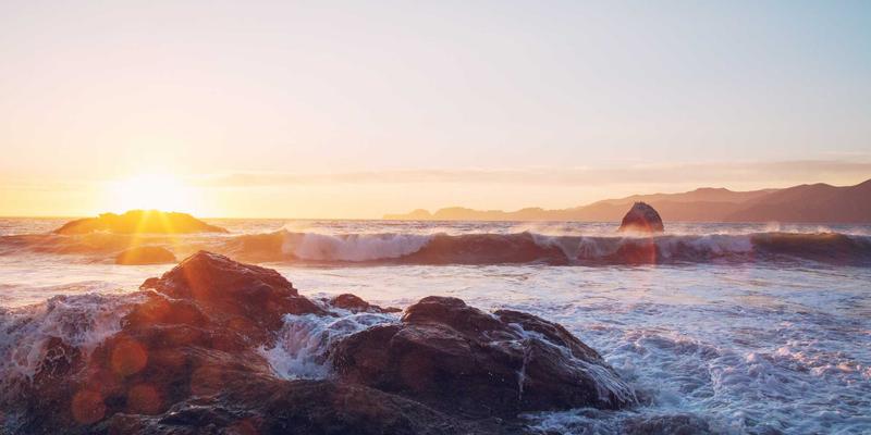 太原鲜花速递与花艺设计：为现代生活与婚礼注入芬芳仪式感