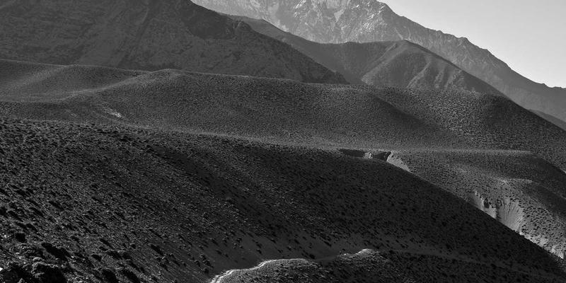 太原鲜花速递全攻略：掌握花艺设计与0351花店网上订花技巧