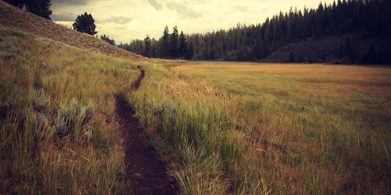 太原鲜花速递全解析：网上订花、专业花艺设计与高效配送的一站式服务