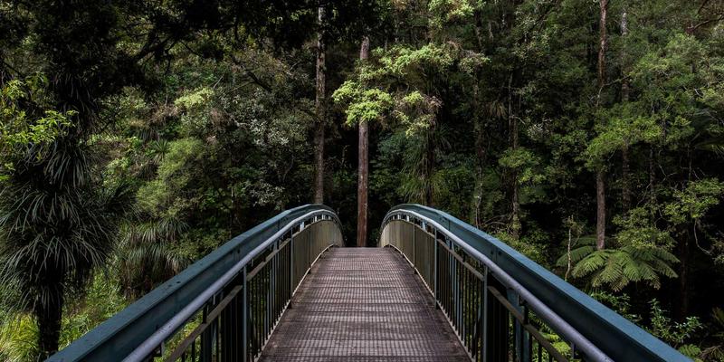 太原鲜花速递指南：专业花店、花艺设计与婚礼花艺的完美融合