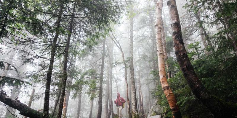 太原鲜花速递指南:婚礼花艺与专业配送,为您的特别时刻增添芬芳